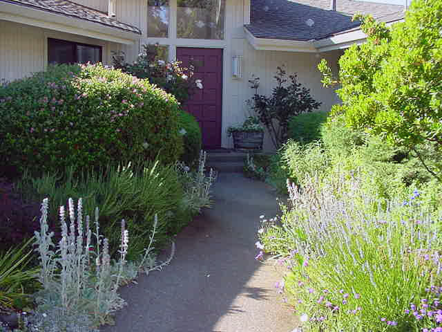 4 Kenwood, CA Garden Design Front entry